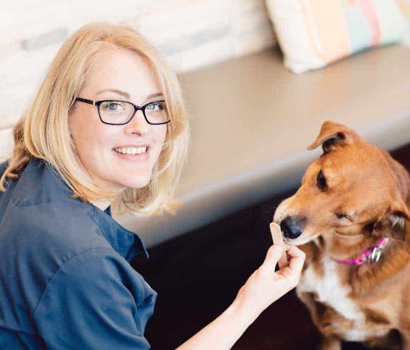 Animal Hospital & Veterinary Clinic in Longmont