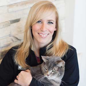 Longmont Veterinarian Team