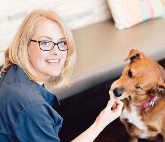 Best-Veterinarian-Longmont