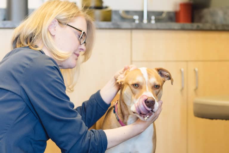Veterinarian Clinic in Longmont, CO Family Pet Hospital